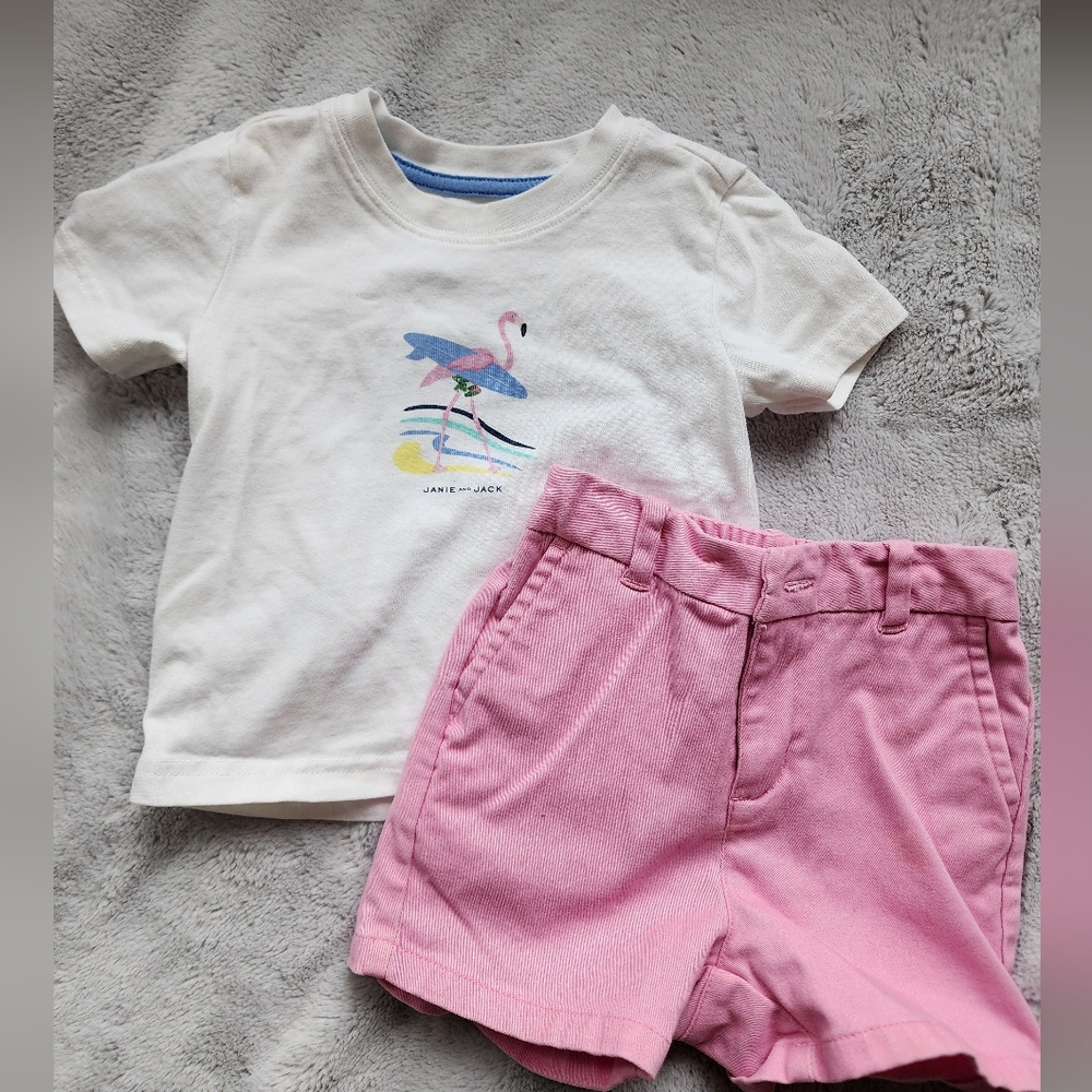 Janie and Jack Pink Flamingo Outfit